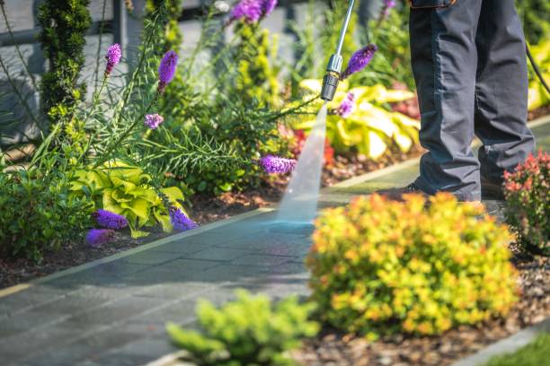 Best Patio and Deck Pressure Washing  in Fruitville, FL